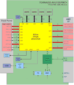 Блок-схема AMC-модуля TORNADO-AVU125/FMC с ПЛИС Virtex Ultrascale и FMC+ сайтом